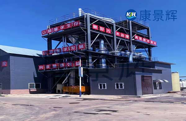 我需要采購(gòu)mvr蒸發(fā)器，能處理硫酸鈉和硫酸銨廢水，一天300噸，有哪些廠(chǎng)家可以推薦給我